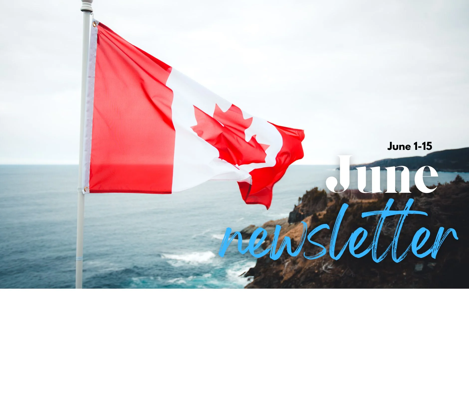 VisaVerse Bi-Weekly Updates ( June) 1-15